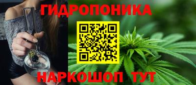 прущая мука Аша