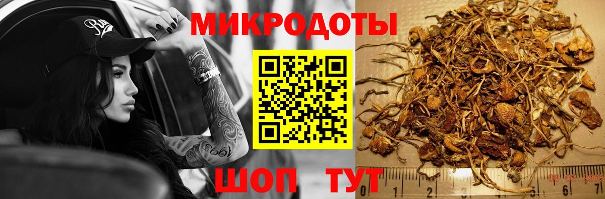 Псилоцибиновые грибы Cubensis  Вход с VPN  Кореновск 