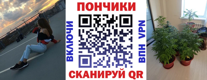Шишки марихуана марихуана  Кореновск 