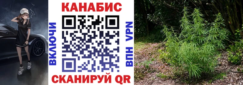 Конопля семена Кореновск